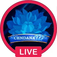 CENDANA777 - Game Bingo Menyenangkan di Ujung Jari Anda